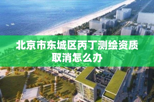 北京市東城區丙丁測繪資質取消怎么辦