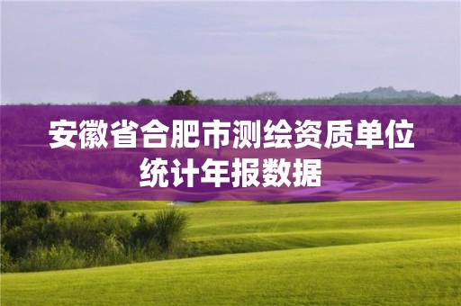 安徽省合肥市測(cè)繪資質(zhì)單位統(tǒng)計(jì)年報(bào)數(shù)據(jù)