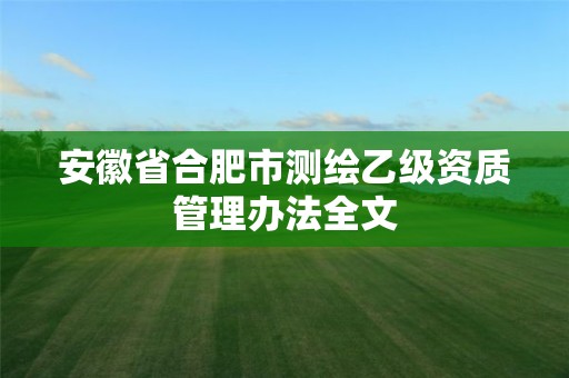 安徽省合肥市測繪乙級資質管理辦法全文