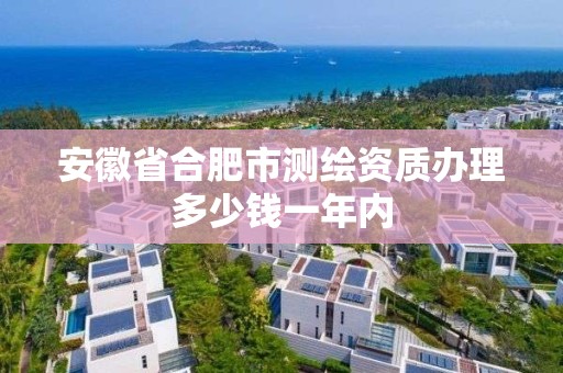 安徽省合肥市測繪資質辦理多少錢一年內