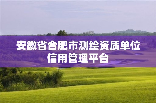 安徽省合肥市測(cè)繪資質(zhì)單位信用管理平臺(tái)