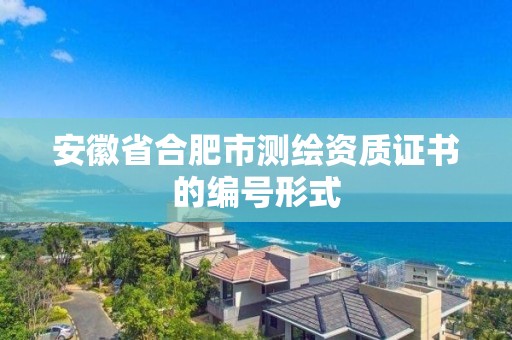 安徽省合肥市測繪資質證書的編號形式