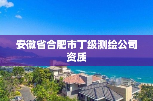 安徽省合肥市丁級(jí)測(cè)繪公司資質(zhì)