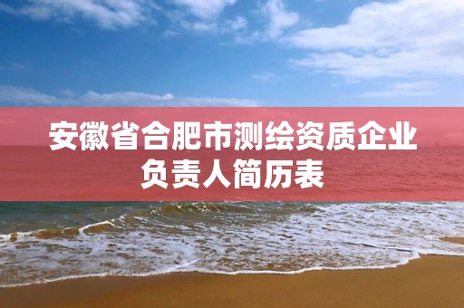 安徽省合肥市測繪資質企業負責人簡歷表