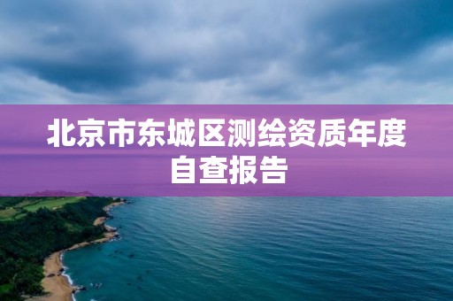 北京市東城區測繪資質年度自查報告