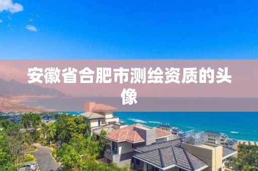 安徽省合肥市測繪資質的頭像