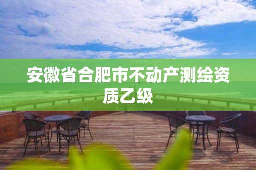 安徽省合肥市不動產(chǎn)測繪資質(zhì)乙級