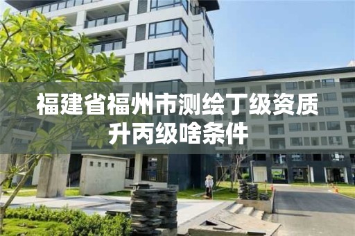 福建省福州市測(cè)繪丁級(jí)資質(zhì)升丙級(jí)啥條件