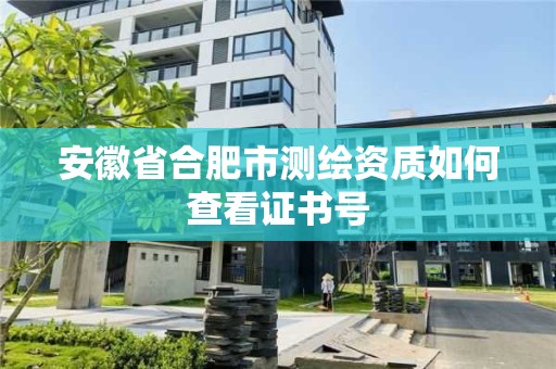 安徽省合肥市測繪資質如何查看證書號