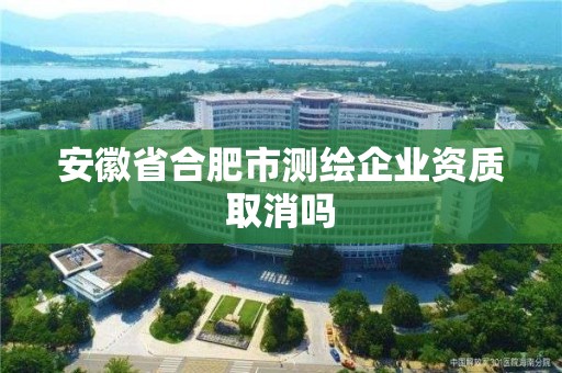 安徽省合肥市測繪企業資質取消嗎