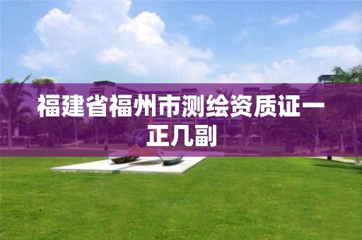 福建省福州市測繪資質(zhì)證一正幾副