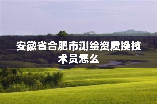 安徽省合肥市測繪資質換技術員怎么