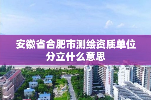 安徽省合肥市測繪資質單位分立什么意思