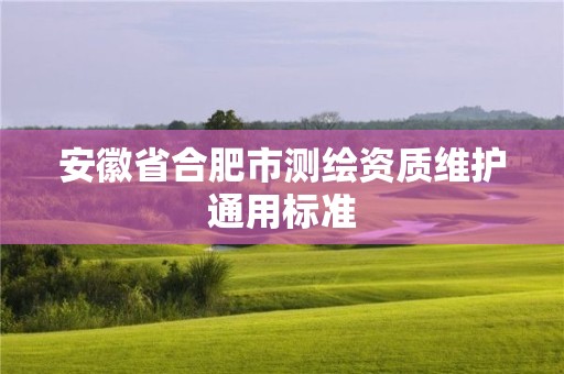 安徽省合肥市測(cè)繪資質(zhì)維護(hù)通用標(biāo)準(zhǔn)