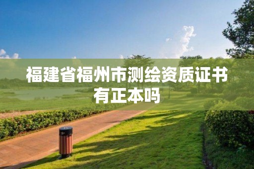 福建省福州市測繪資質(zhì)證書有正本嗎