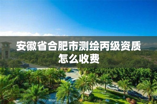 安徽省合肥市測繪丙級資質(zhì)怎么收費