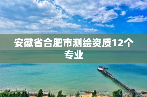 安徽省合肥市測繪資質12個專業(yè)