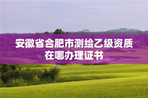 安徽省合肥市測(cè)繪乙級(jí)資質(zhì)在哪辦理證書(shū)