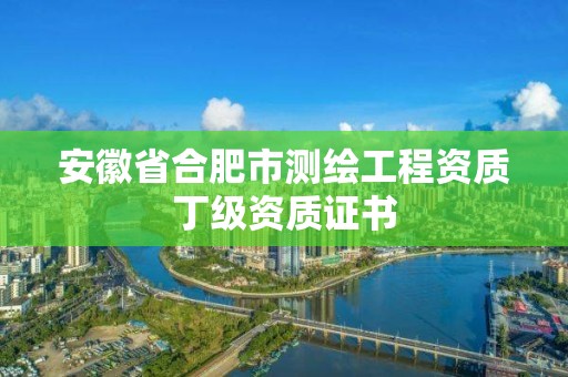 安徽省合肥市測繪工程資質(zhì)丁級資質(zhì)證書