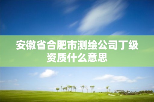 安徽省合肥市測繪公司丁級資質什么意思