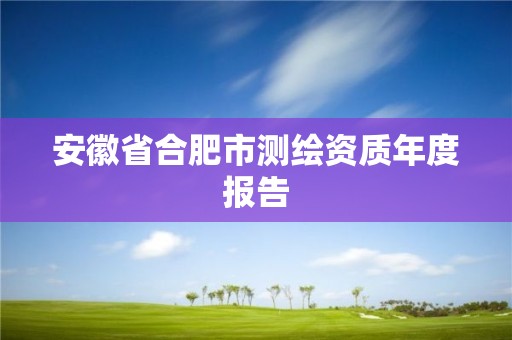 安徽省合肥市測繪資質年度報告