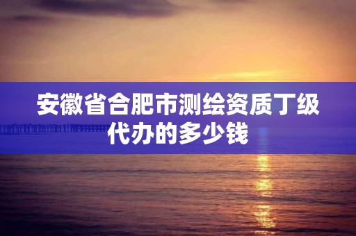 安徽省合肥市測繪資質丁級代辦的多少錢