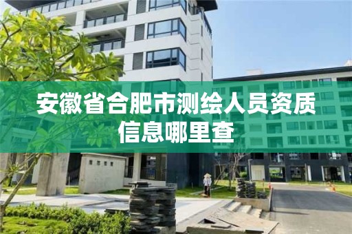 安徽省合肥市測繪人員資質信息哪里查