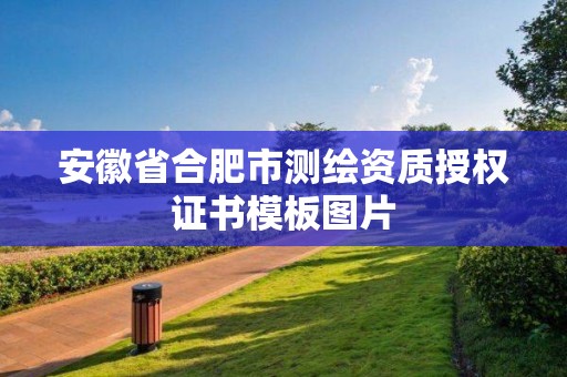 安徽省合肥市測(cè)繪資質(zhì)授權(quán)證書(shū)模板圖片