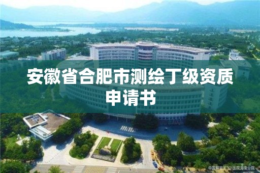 安徽省合肥市測繪丁級資質申請書