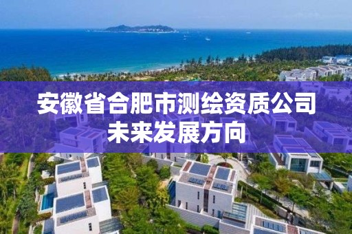 安徽省合肥市測繪資質公司未來發展方向