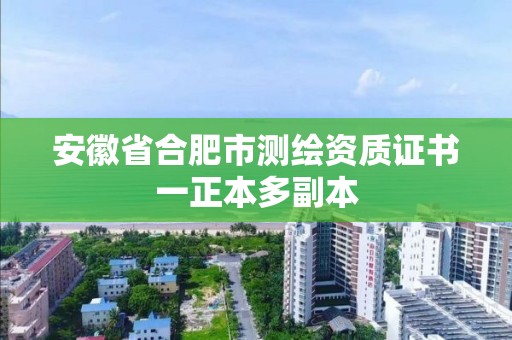 安徽省合肥市測繪資質(zhì)證書一正本多副本