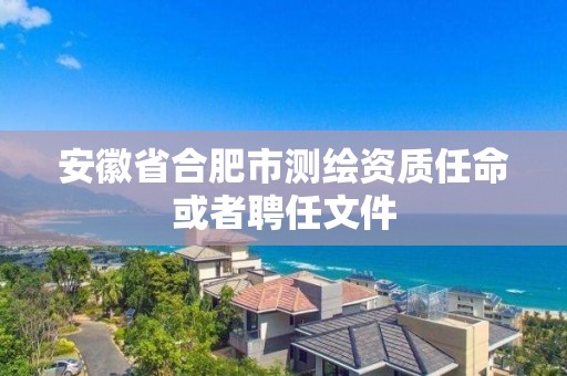 安徽省合肥市測繪資質任命或者聘任文件