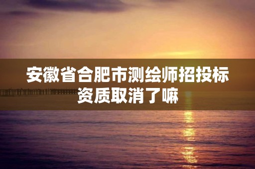 安徽省合肥市測繪師招投標資質取消了嘛