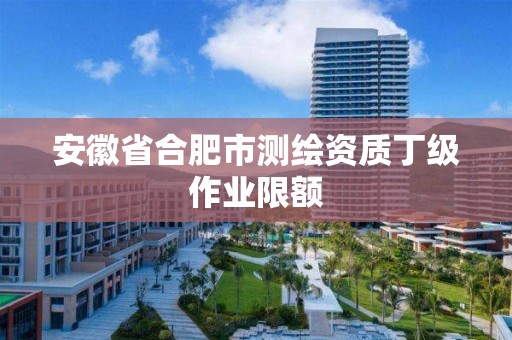 安徽省合肥市測繪資質丁級作業限額