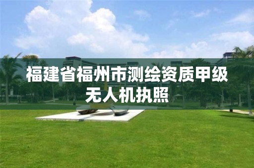 福建省福州市測繪資質(zhì)甲級無人機執(zhí)照