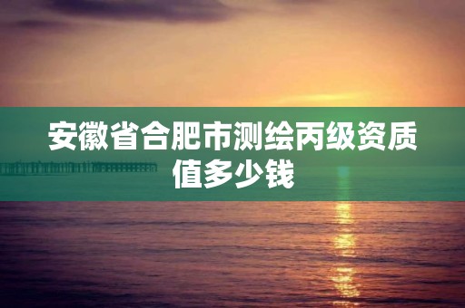 安徽省合肥市測繪丙級資質值多少錢