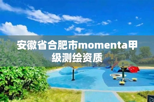 安徽省合肥市momenta甲級測繪資質