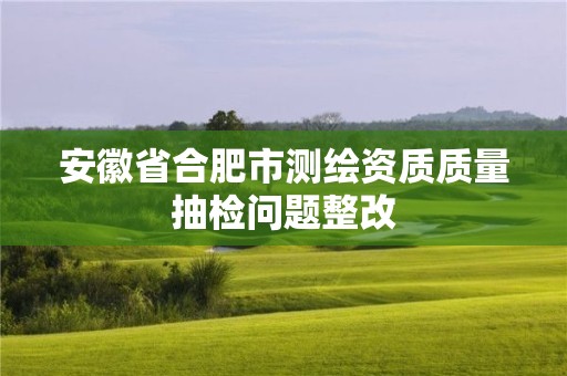 安徽省合肥市測(cè)繪資質(zhì)質(zhì)量抽檢問題整改