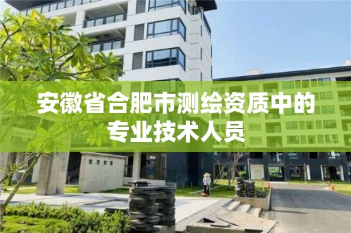 安徽省合肥市測繪資質中的專業技術人員