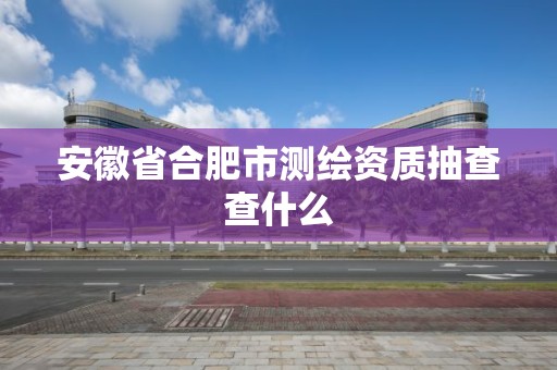 安徽省合肥市測(cè)繪資質(zhì)抽查查什么