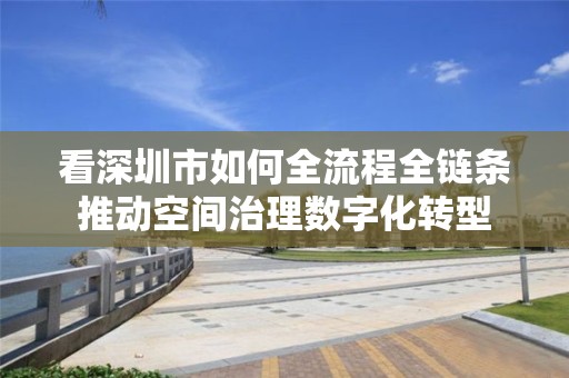 看深圳市如何全流程全鏈條推動空間治理數字化轉型