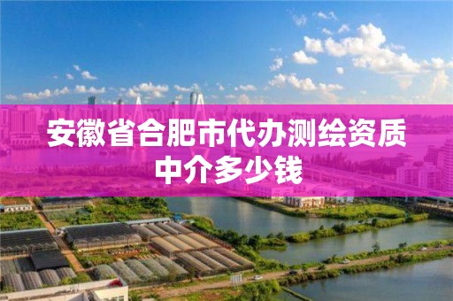 安徽省合肥市代辦測繪資質中介多少錢