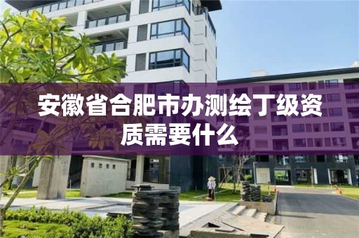 安徽省合肥市辦測繪丁級資質需要什么