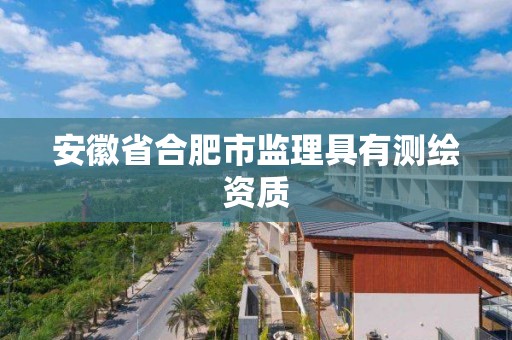 安徽省合肥市監(jiān)理具有測繪資質(zhì)