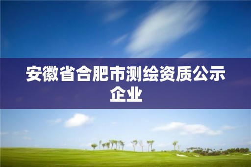 安徽省合肥市測繪資質公示企業