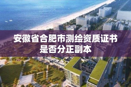 安徽省合肥市測繪資質證書是否分正副本