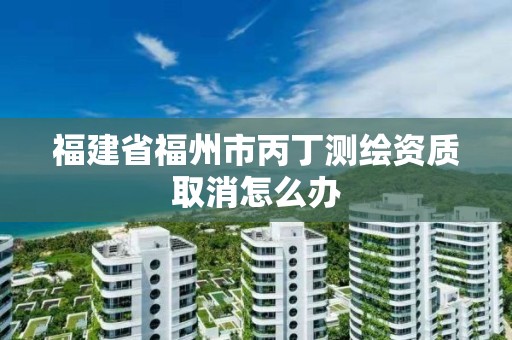 福建省福州市丙丁測繪資質取消怎么辦