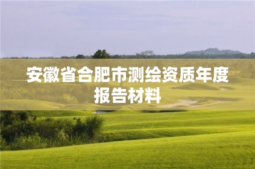 安徽省合肥市測繪資質(zhì)年度報告材料