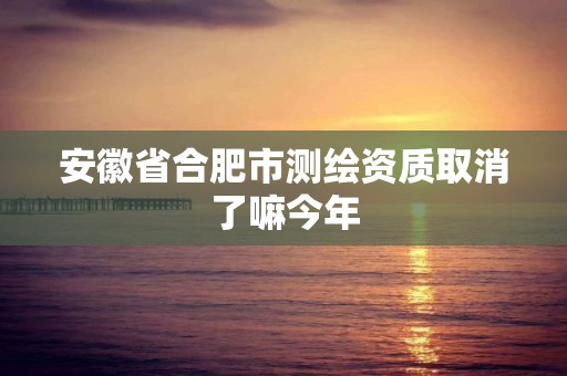 安徽省合肥市測繪資質取消了嘛今年