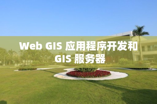 Web GIS 應用程序開發和 GIS 服務器